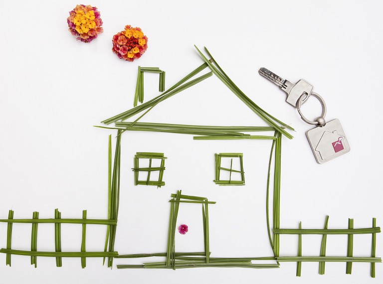 What Is the Difference Between Tenants in Common and Joint Tenants?