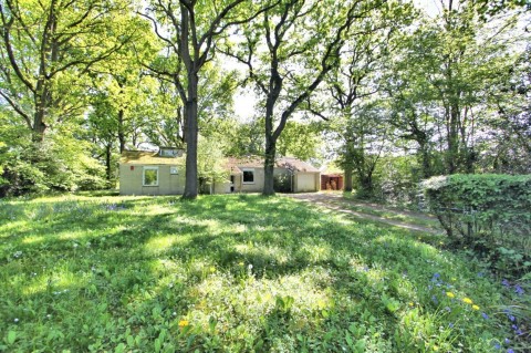 'Gathering Moss' , Lower Stone, Gloucestershire